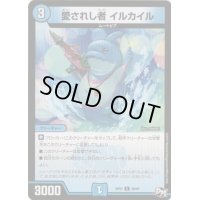 愛されし者イルカイル【U】{RP0139/93}《水》