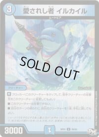 愛されし者イルカイル【U】{RP0139/93}《水》
