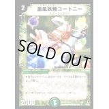 〔状態B〕薫風妖精コートニー【R】{DM1315/55}《自然》