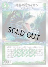 時空の花カイマン/華獣の覚醒者アリゲーター【U】{DMD2019b/22/19a/22}《超次元》