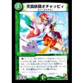 天真妖精オチャッピィ【U】{P68/Y11}《自然》