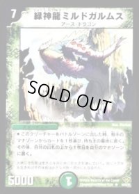 緑神龍ミルドガルムス【R】{DM2019/55/Y5}《自然》