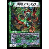 侵革目パラスラプト【VR】{DMR208/70}《自然》