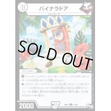 バイナラドア【R】{RP0111/93}《無》