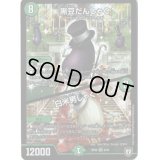 〔状態B〕黒豆だんしゃく/白米男しゃく【VR】{RP059/93}《自然》