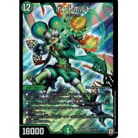 〔状態B〕ボントボルト【SR】{RP05S10/S10}《自然》