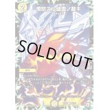 〔状態B〕憤怒スル破面ノ裁キ【U】{RP0665/93}《光》