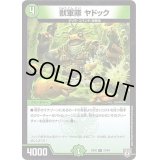 獣軍隊ヤドック【C】{EX0221/84}《自然》