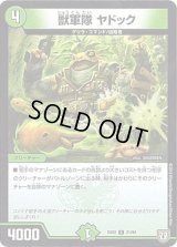 獣軍隊ヤドック【C】{EX0221/84}《自然》