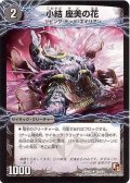 〔状態B〕小結座美の花/雲龍ディス・イズ・大横綱【U】{DMR0225b/54/25a/54}《超次元》