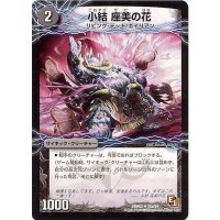 〔状態A-〕小結座美の花/雲龍ディス・イズ・大横綱【U】{DMR0225b/54/25a/54}《超次元》