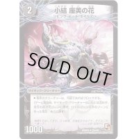 小結座美の花/雲龍ディス・イズ・大横綱【U】{DMR0225b/54/25a/54}《超次元》