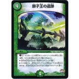〔状態B〕獅子王の遺跡【U】{DMR2239/74}《自然》