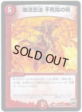 〔状態B〕爆流忍法不死鳥の術【R】{DMR2317/74}《火》