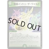 爆進イントゥ・ザ・ワイルド【R】{EX0140/80}《自然》