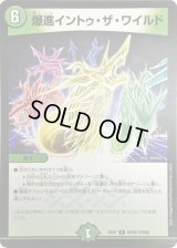 爆進イントゥ・ザ・ワイルド【R】{EX0140/80}《自然》