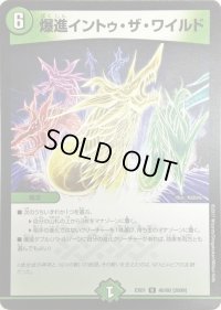 爆進イントゥ・ザ・ワイルド【R】{EX0140/80}《自然》