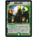 (foil)運命の選択【U-foil】{DM2529/55/Y6}《自然》