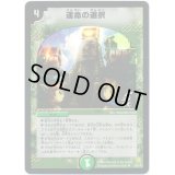 〔状態B〕(foil)運命の選択【U-foil】{DM2529/55/Y6}《自然》