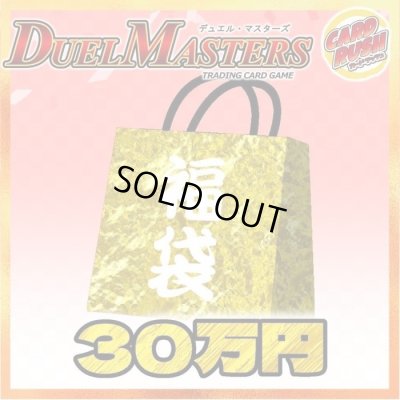 画像1: 〔予約販売〕★DM30万円福袋★【福袋】{￥300,000}