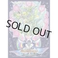スリーブ『[DXカードプロテクト]始虹帝ミノガミ&天地命動バラギアラ』42枚入り【サプライ】{-}