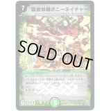(foil)森獣妖精ポニーネイチャー【R-foil】{DM3018/55/Y7(H.C)}《自然》