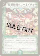 〔状態C〕森獣妖精ポニーネイチャー【R】{DM3018/55/Y7}《自然》