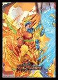 スリーブ『[DM22-BD1](EX01イラスト)超戦龍覇モルトNEXT』42枚入り【サプライ】{-}