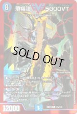 〔状態B〕飛翔龍5000VT【VIC】{23EX1秘1a/秘6}《水》