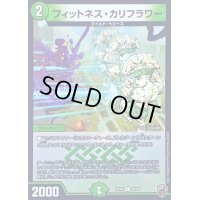 (虹アイコン)フィットネス・カリフラワー【C】{RP1682/95}《自然》