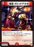 〔状態A-〕爆速ダビッドアネキ【-】{P78/Y17}《火》