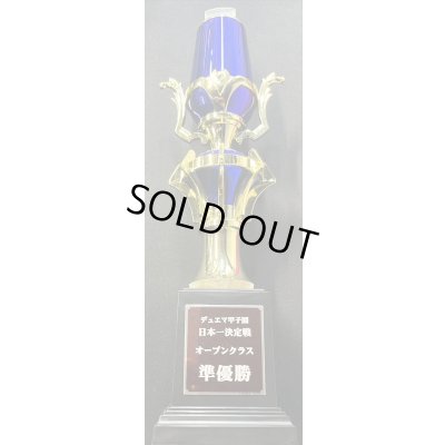 画像3: 無敵王剣ギガハート/最強熱血オウギンガ【VV】(トロフィー付き/デュエマ甲子園銀プレート)【VV】{DMR15VV1b/VV1/VV1a/VV1}《超次元》