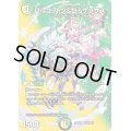 〔状態A-〕Disコットン＆Disケラサス【U】{24EX2超40/超47}《多》