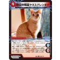 時空の戦猫シンカイヤヌス/時空の戦猫ヤヌスグレンオー【U】{EX08224b/???/224a/???}《超次元》