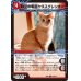 画像1: 〔状態A-〕時空の戦猫シンカイヤヌス/時空の戦猫ヤヌスグレンオー【U】{EX08224b/???/224a/???}《超次元》 (1)