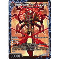 時空の鼓動ブラックX/黒断の覚醒者ドキンダムBLACK【-】{BD217b/27/7a/27}《超次元》