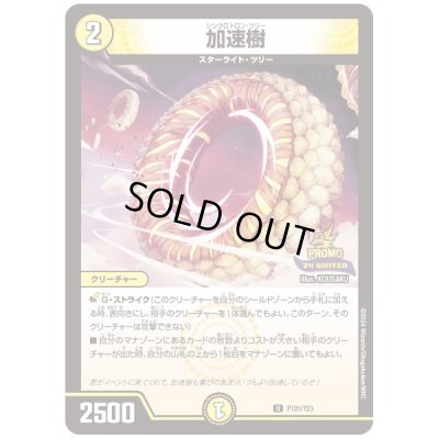 画像1: 加速樹【U】{P101/Y23}《光》