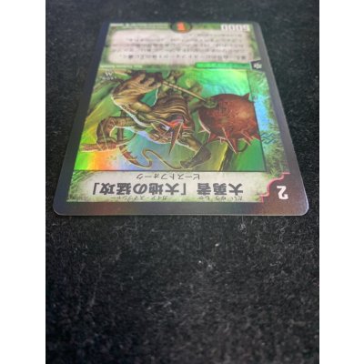 画像4: 〔状態A-〕大勇者「大地の猛攻」【-】{PRWINNER}《自然》