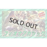 フィオナアカシック【ver1.0】{40枚}《デッキ販売》