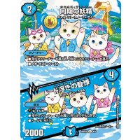(未開封)同期の妖精/ド浮きの動悸【R】{ART224/5}《水》