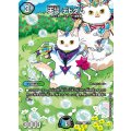 天災デドダム【R】{ART225/5}《多》