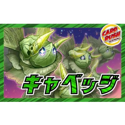 画像1: 緑単キャベッジ【ver1.0】{40枚}《デッキ販売》