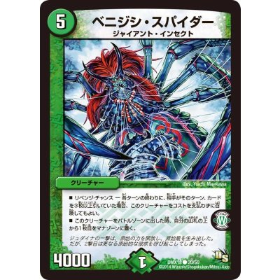 画像1: 〔状態B〕ベニジシ・スパイダー【C】{DMX1820/50}《自然》