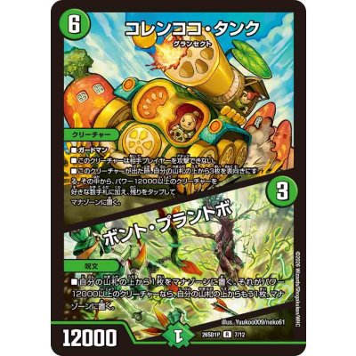 画像1: コレンココ・タンク/ボント・プラントボ【R】{26SD1P7/12}《自然》