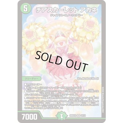 画像1: 〔状態B〕チアスカーレットアカネ【SR】{26SD1Q2F/14}《自然》