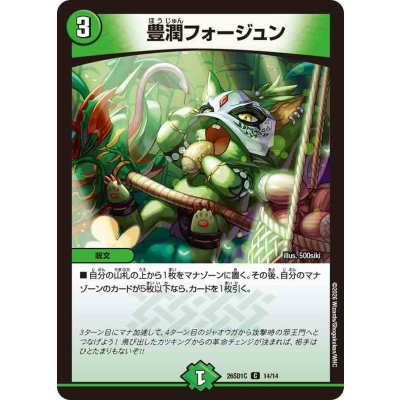 画像1: 豊潤フォージュン【C】{26SD1C14/14}《自然》