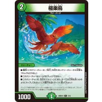 極楽鳥【R】{26SD1V7/12}《自然》