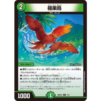 画像1: 極楽鳥【R】{26SD1V7/12}《自然》