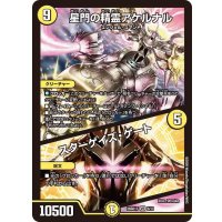 星門の精霊アケルナル/スターゲイズ・ゲート【VR】{26SD1T6/13}《光》