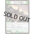 とこしえの超人【U】{26SD1Y9/11}《自然》